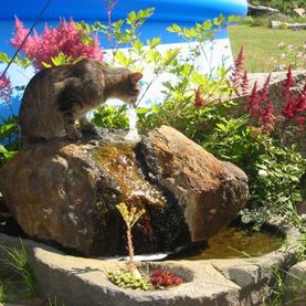 Brunnen