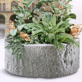 Brunnen