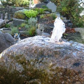 Brunnen
