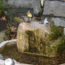 Brunnen